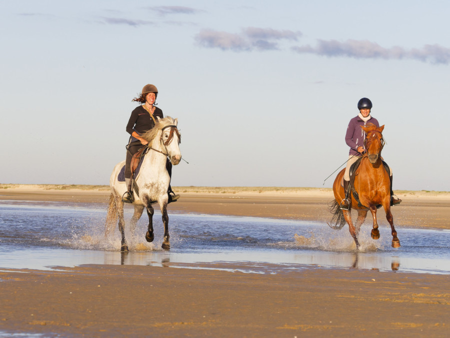 Ethical Horseriding on the beach in the Ria Formosa, Algarve