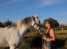 Ethical Horseriding and Horsemanship in Tavira, Algarve