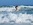 Pirate Deluxe : B&B Tavira, guesthouse Tavira, Ecolodge Ria Formosa, Tavira surfcamp