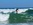 Pirate Deluxe : B&B Tavira, guesthouse Tavira, Ecolodge Ria Formosa, Tavira surfcamp
