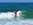 Pirate Deluxe : B&B Tavira, guesthouse Tavira, Ecolodge Ria Formosa, Tavira surfcamp